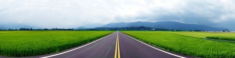 green road landscape