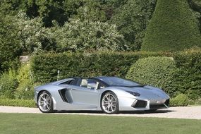 Lamborghini Aventador in the garden