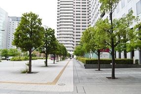 street with green trees in Shinagawa, Tokyo