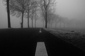 white markings on a foggy winter highway