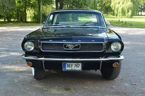 vintage black mustang car in park