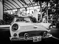 classic car automobile retro 1956 black and white