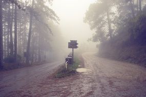 foggy road in tuscany