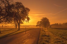 scenic golden light landscape with road through fields