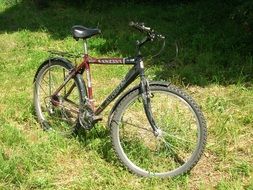 weathered bike stays on grass