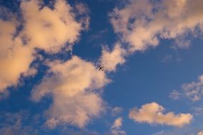 silhouette of airplane in the sky