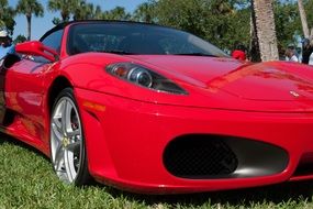 red ferrari on green grass