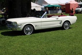 white ford car on green grass