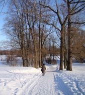 Snow on the road