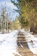 winter road in countryside