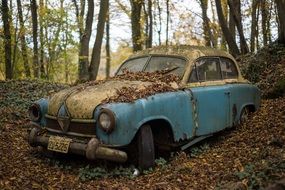 Forgotten classic car in a forest