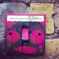 Painted light switch on the street