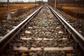 railway in autumn