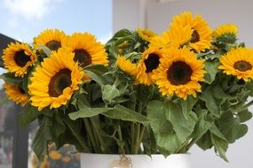 van gogh sunflower on the table