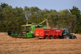 harvesting on the field in autumn