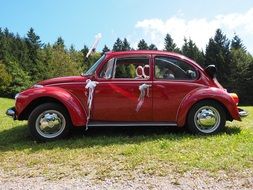 bridal car on green grass