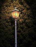 street lamp in the park