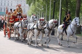 horse carriage at the ceremony