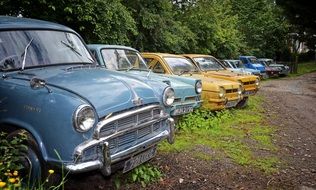 Colorful old retro vintage cars among the plants
