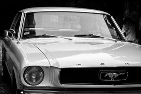 white ford mustang shiny scene