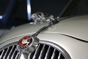 jaguar emblem on the hood close up