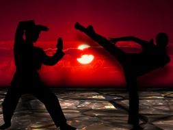 martial arts silhouettes at sunset