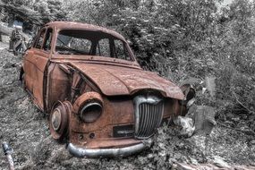 old broken car in the woods