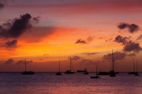 boats in the harbor in the evening