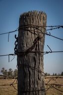 Fence on Country road