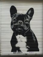 handsome street art dog