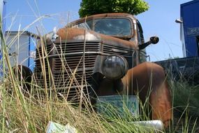 rusty vintage truck in dry grass