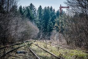 railway tracks among the forest