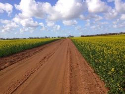 rural road