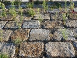 stretch of road with paving stones