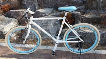 bike on the track in the park
