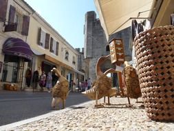 brown geese on the street in Provence