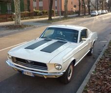 Car white mustang in the street