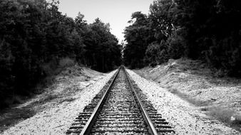 railroad in the woods in black and white background