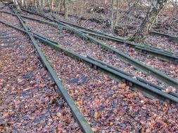 Leaves on the railway