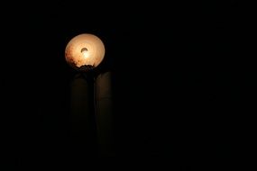glowing street lamp at night