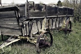 weathered wooden old