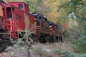 red train on the forest background