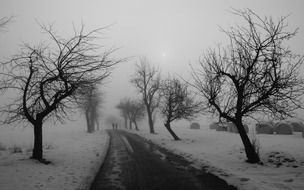 winter road black and white photo