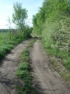 field road along the farm
