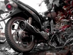 rear view of motorcycle