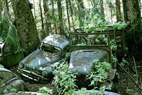 old car cemetery green decay scenery