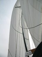 sail boat transportation