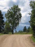 country road in summer