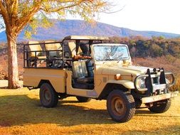 beige safari jeep in Africa