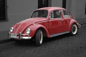 beetle volkswagen